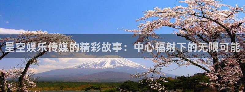 星空娱乐官网：星空娱乐传媒的精彩故事：中心辐射下的无限可能