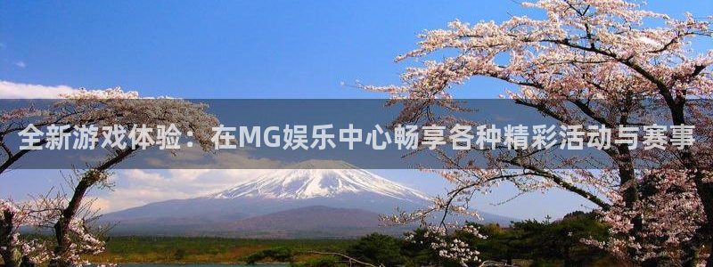 星空娱乐网站官网：全新游戏体验：在MG娱乐中心畅享各种精彩活动与赛事