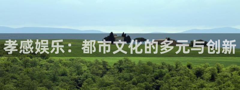 星空娱乐app：孝感娱乐：都市文化的多元与创新