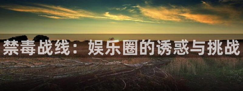 星空娱乐93299