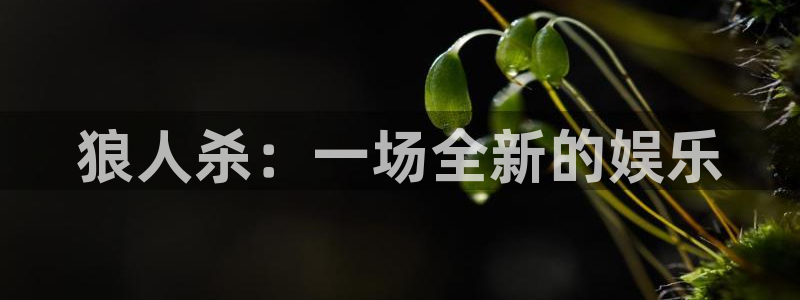 星空娱乐城：狼人杀：一场全新的娱乐
