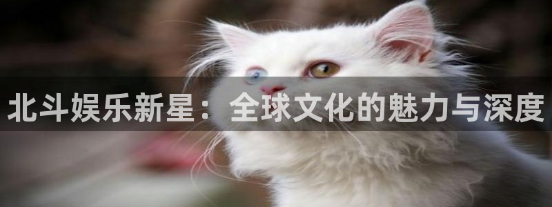星空娱乐城：北斗娱乐新星：全球文化的魅力与深度