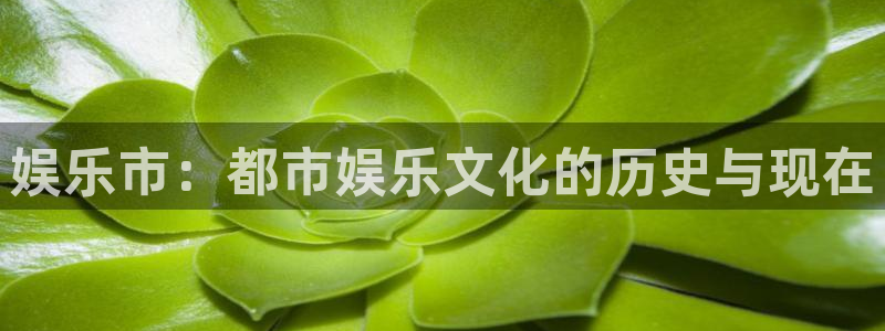 星空娱乐-应用详情：娱乐市：都市娱乐文化的历史与现在