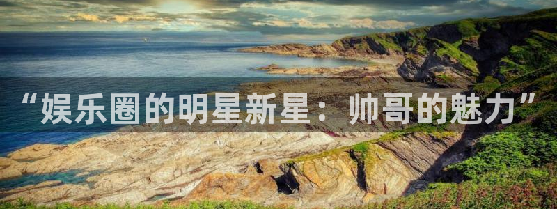 星空娱乐游戏：“娱乐圈的明星新星：帅哥的魅力”