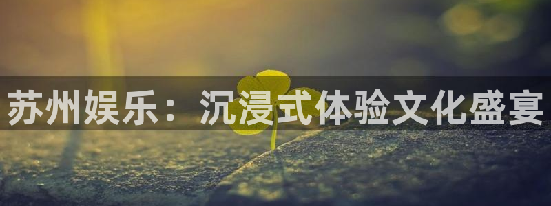 星空娱乐网站官网：苏州娱乐：沉浸式体验文化盛宴