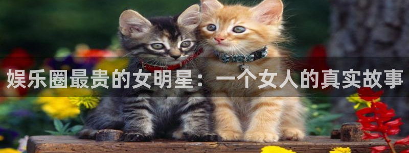 93299星空娱乐最新网址：娱乐圈最贵的女明星：一个女人的真实故事