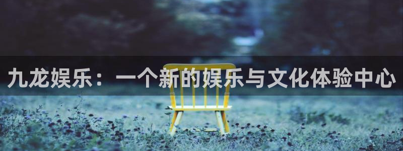 星空娱乐2929：九龙娱乐：一个新的娱乐与文化体验中心