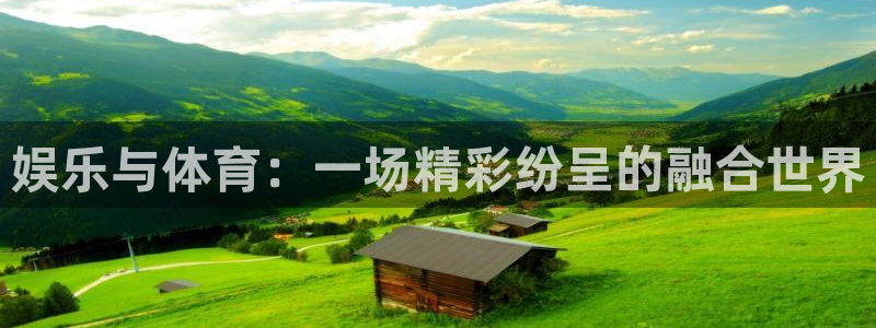 星空娱乐传媒有限公司：娱乐与体育：一场精彩纷呈的融合世界